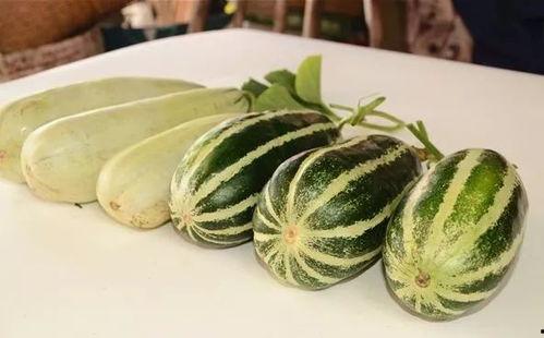 网红免费吃瓜群,揭秘网红圈内的神秘社交圈